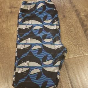 TC lularoe leggings